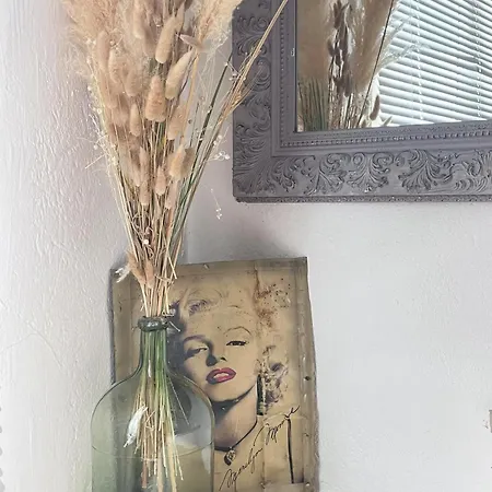 La Belle De *
